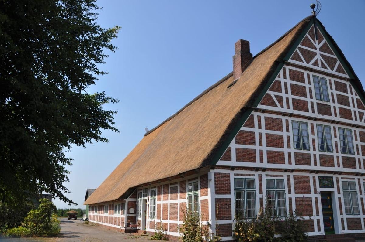 Langes Fachwerkhaus mit neuem goldgelbem Reetdach unter blauem Himmel.