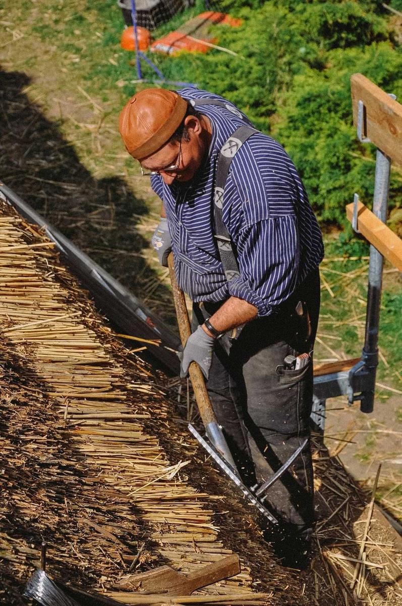 Ein Mann von oben, wie er mit einem Werkzeug im Reet arbeitet.
